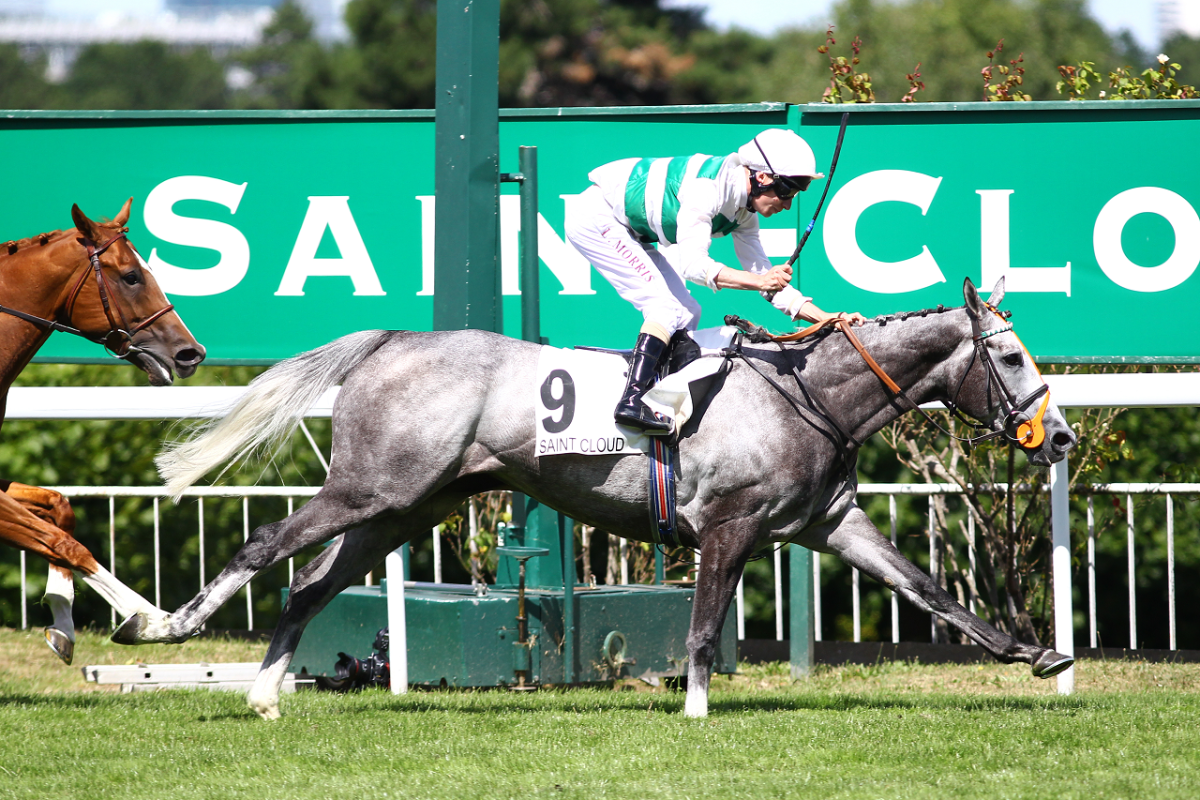 Saint-Cloud winner Alpinista can make a winning return to Paris 
